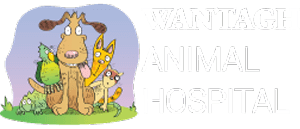 Veterinary Care in Wantagh NY