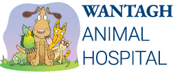 Veterinarian and Animal Hospital Wantagh NY